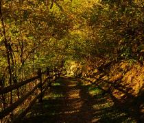 Autumn stroll around the Haidersee