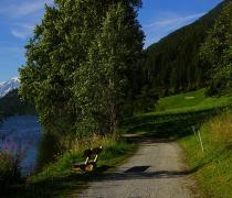 Hiking path around the Haidersee