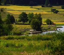 Natural idyll surrounding Lake Haidersee