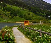 Hiking path around the Haidersee