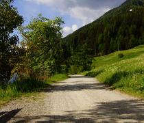 Hiking path around Lake Haidersee