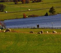 Lake Haidersee in autumn