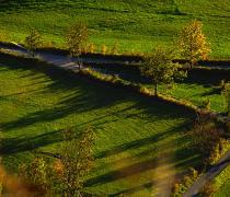 Autumn arrives at the Haidersee