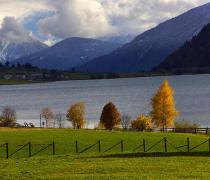 Trees in autumn colors next to the Haidersee